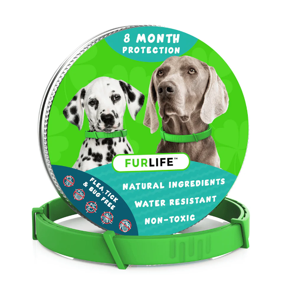 Flea And Tick Prevention For Dogs